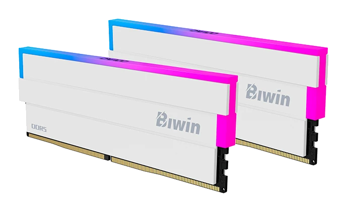 Memoria Udimm Biwin Black Opal Dw100, 32gb (2x16gb) Ddr5-6000, Pc5-48000, Rgb, Cl28, 1.4v