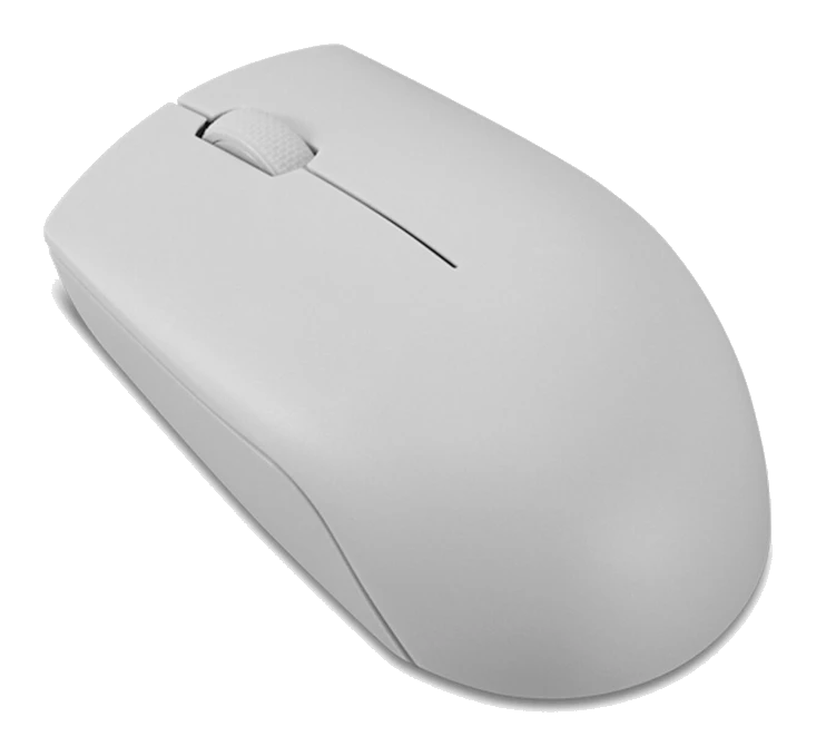 Mouse Inalambrico Compacto Lenovo 300, Color Gris Artico.