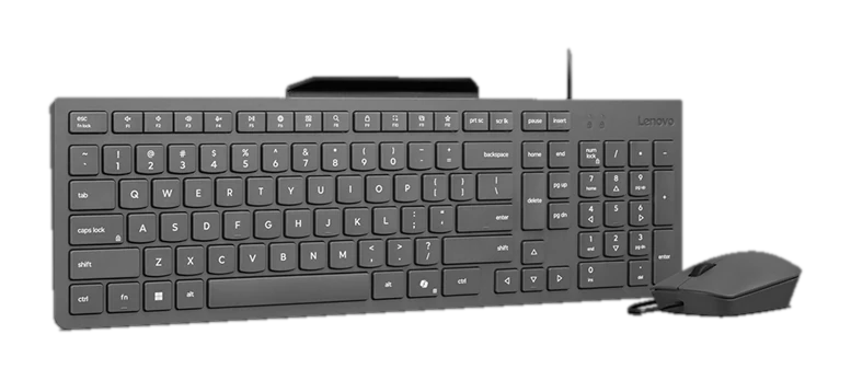 Lenovo 310 Usb-a Combo La